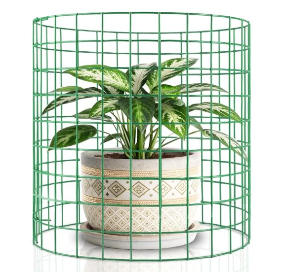MQHUAYU animal barrier protects roses and lilies from rodents