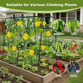 MQHUAYU heavy-duty frame supports up to 28 lbs of produce.