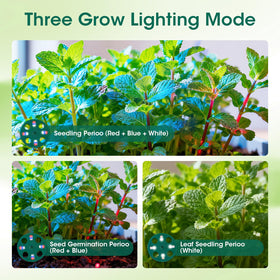 MQHUAYU internal dome venting system helps regulate moisture and temperature during germination