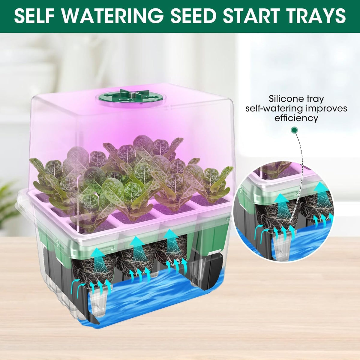 MQHUAYU grow light modes red-blue-white enable tailored light for different growth stages