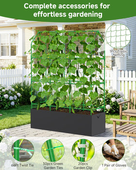 MQJIAZHI climbing plants support system enables even light exposure.