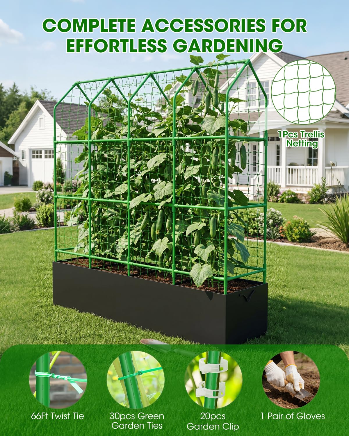 Dense climbing net evenly distributes vines for sunlight exposure.