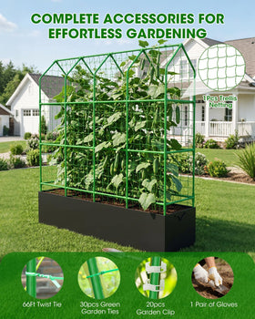 Dense climbing net evenly distributes vines for sunlight exposure.