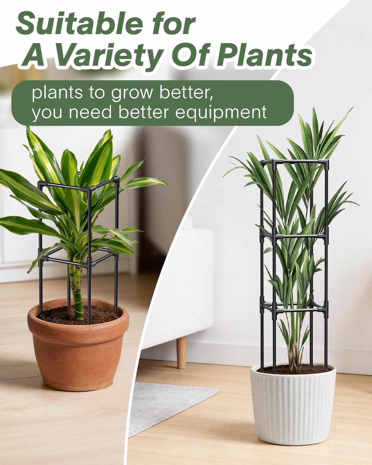 Adjustable frame maintains plant height; MQJIAZHI trellis grows with your vines