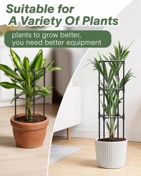 Adjustable frame maintains plant height; MQJIAZHI trellis grows with your vines