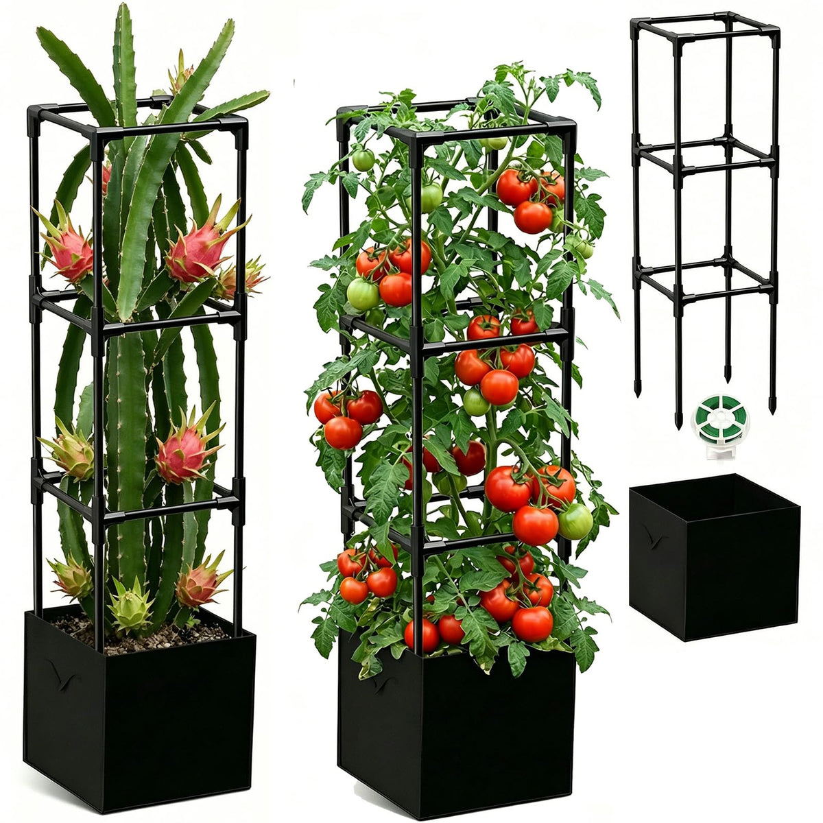 MQJIAZHI dragon fruit trellis assembly keeps climbers upright and organized.