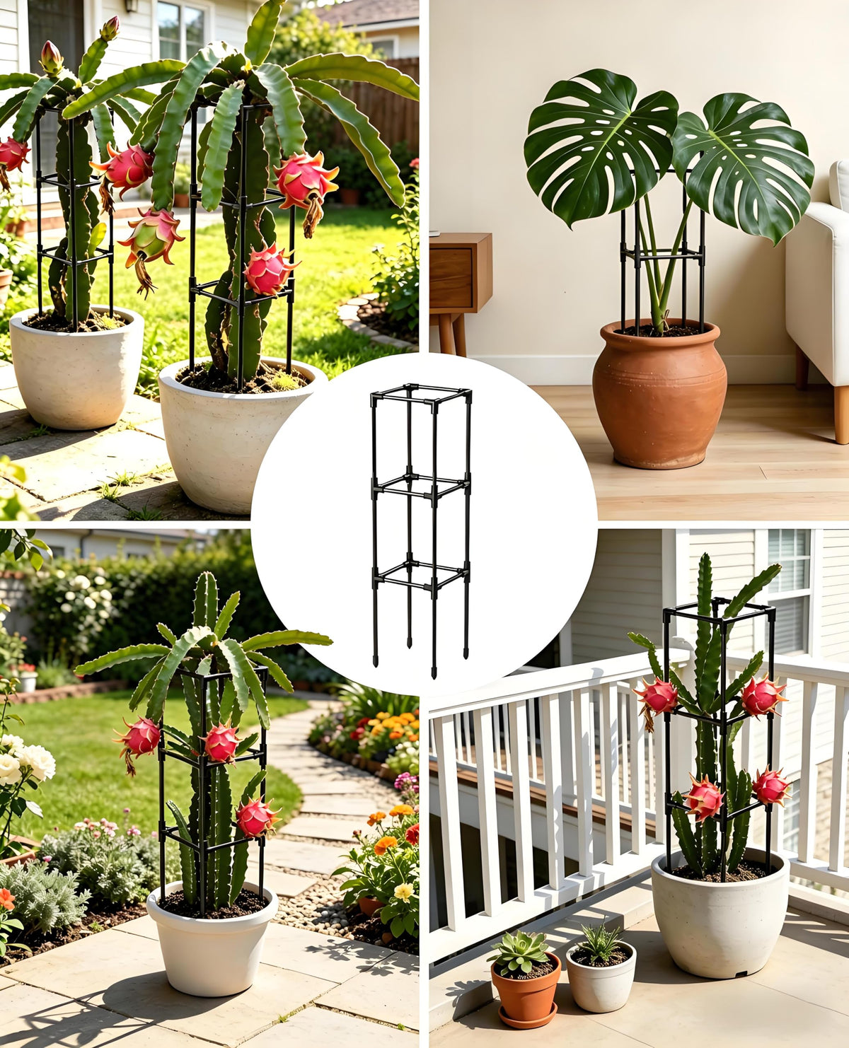 Compact indoor trellis fits most pots; MQJIAZHI keeps greenery tidy
