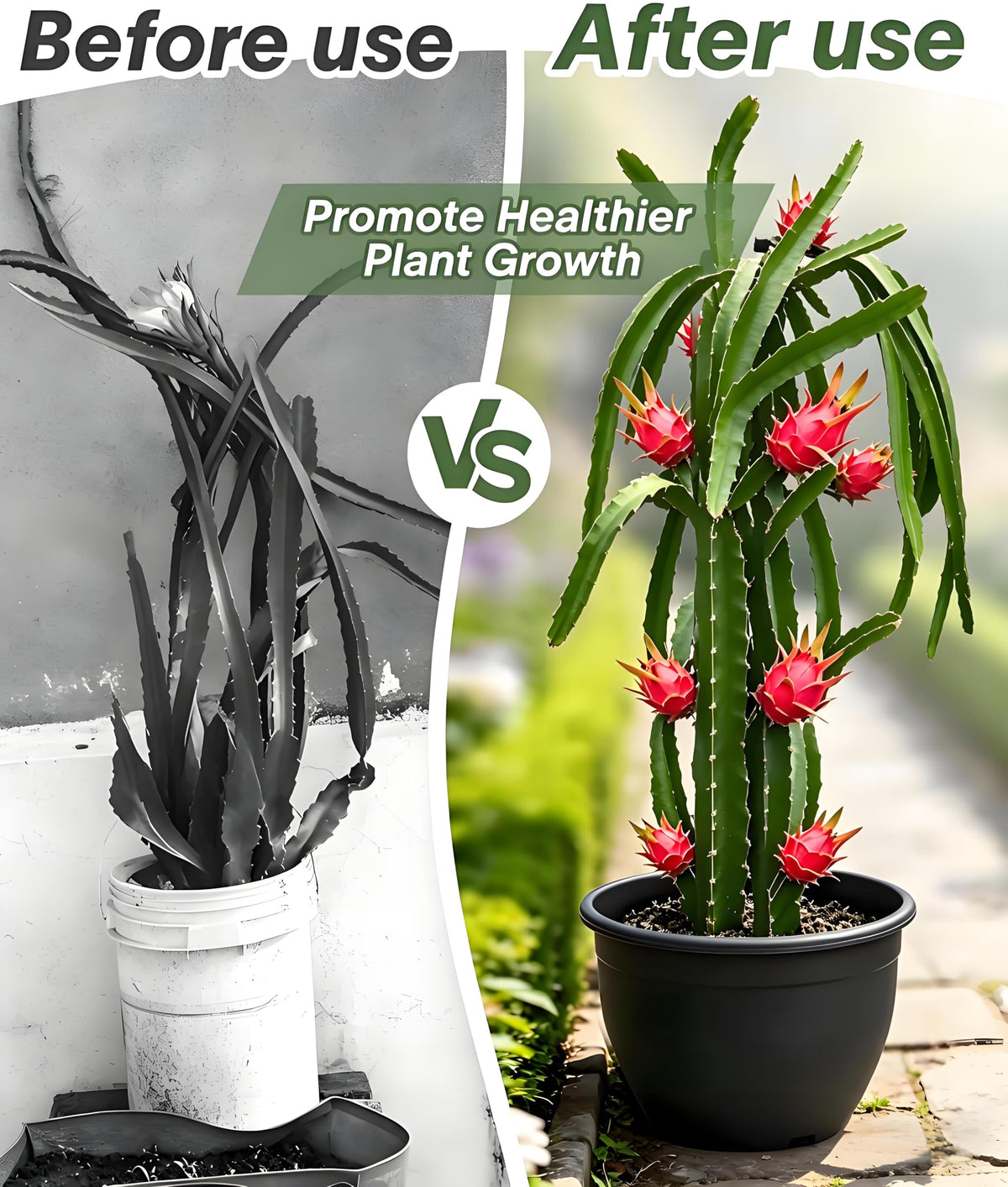 MQJIAZHI trellis indoor setup supports potted plants with stable design