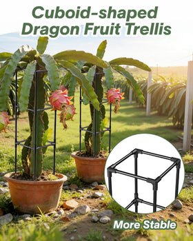 Outdoor garden scene with MQJIAZHI trellis guiding vines for better sunlight