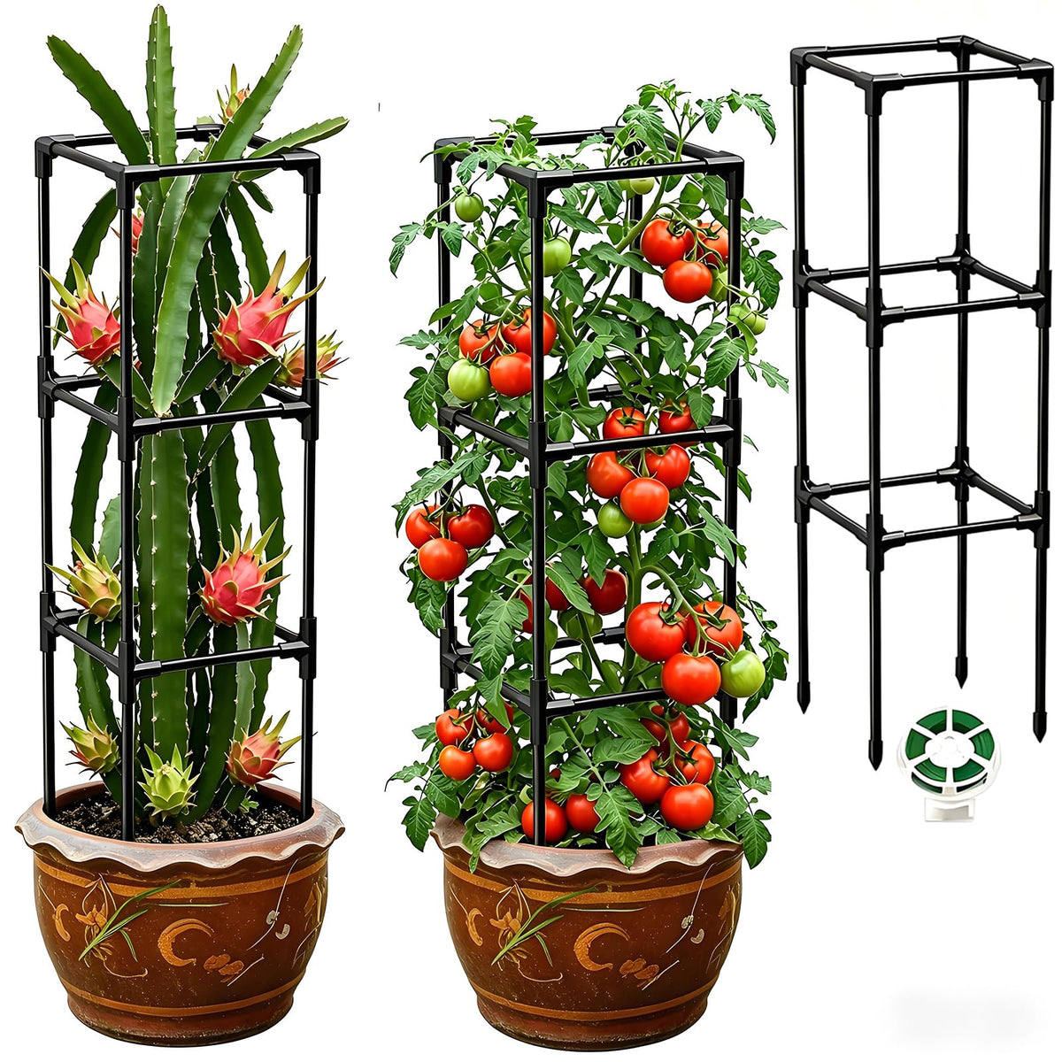 MQJIAZHI dragon fruit trellis vertical support for climbing plants outdoors