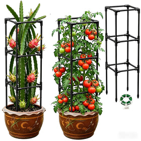 MQJIAZHI dragon fruit trellis vertical support for climbing plants outdoors
