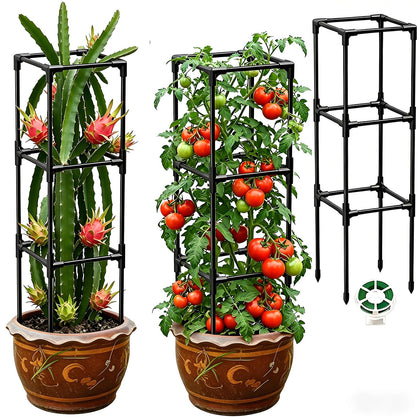 MQJIAZHI dragon fruit trellis vertical support for climbing plants outdoors