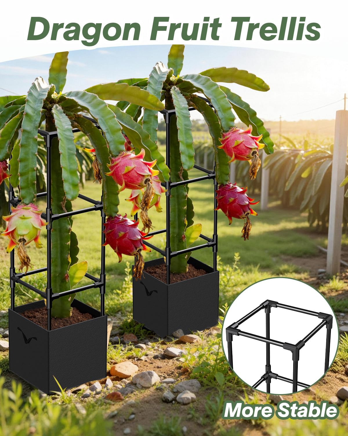 MQJIAZHI trellis helps vines stay tidy and organized