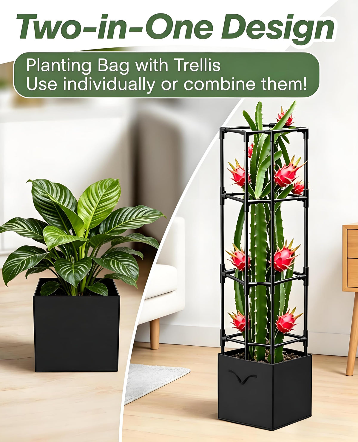 MQJIAZHI heavy-duty metal trellis supports vines with wind resistance.