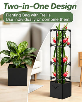 MQJIAZHI heavy-duty metal trellis supports vines with wind resistance.