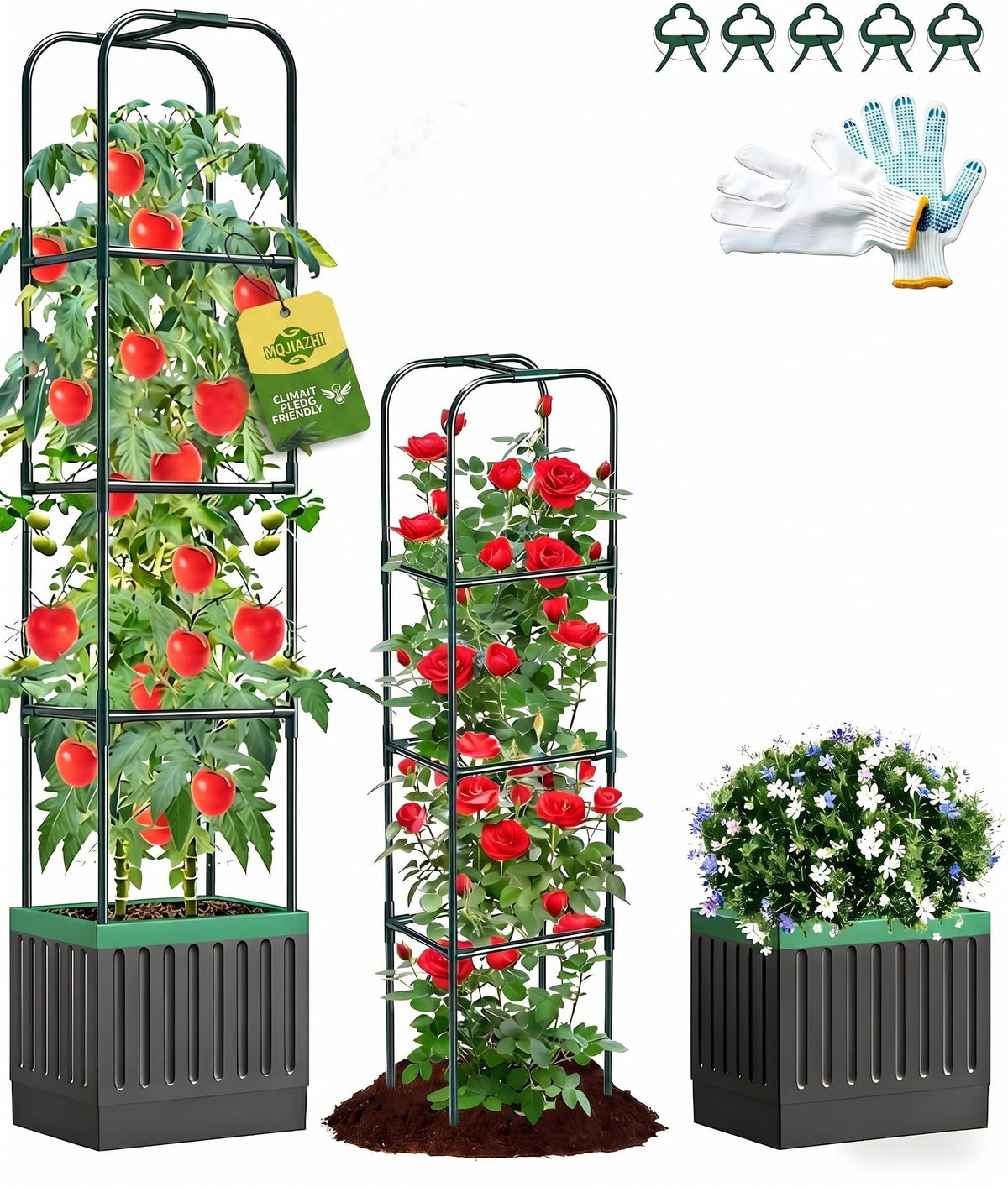 MQJIAZHI tomato planter with trellis tall height supports vigorous vines