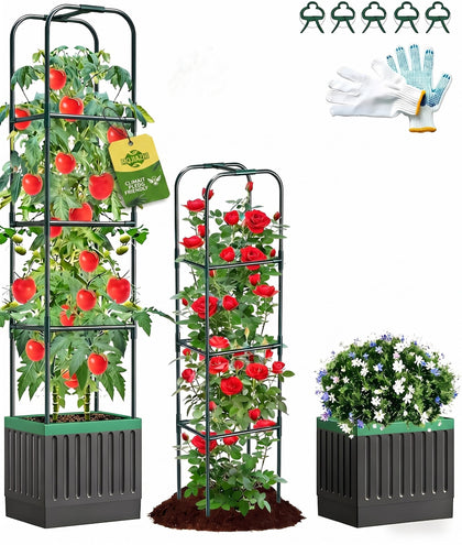 MQJIAZHI tomato planter with trellis tall height supports vigorous vines