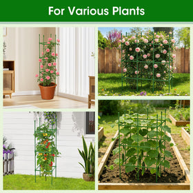MQJIAZHI included clips secure stalks for strong growth.
