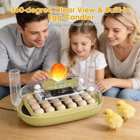 MQUPIN adjustable trays with eight dividers fit multiple egg sizes.
