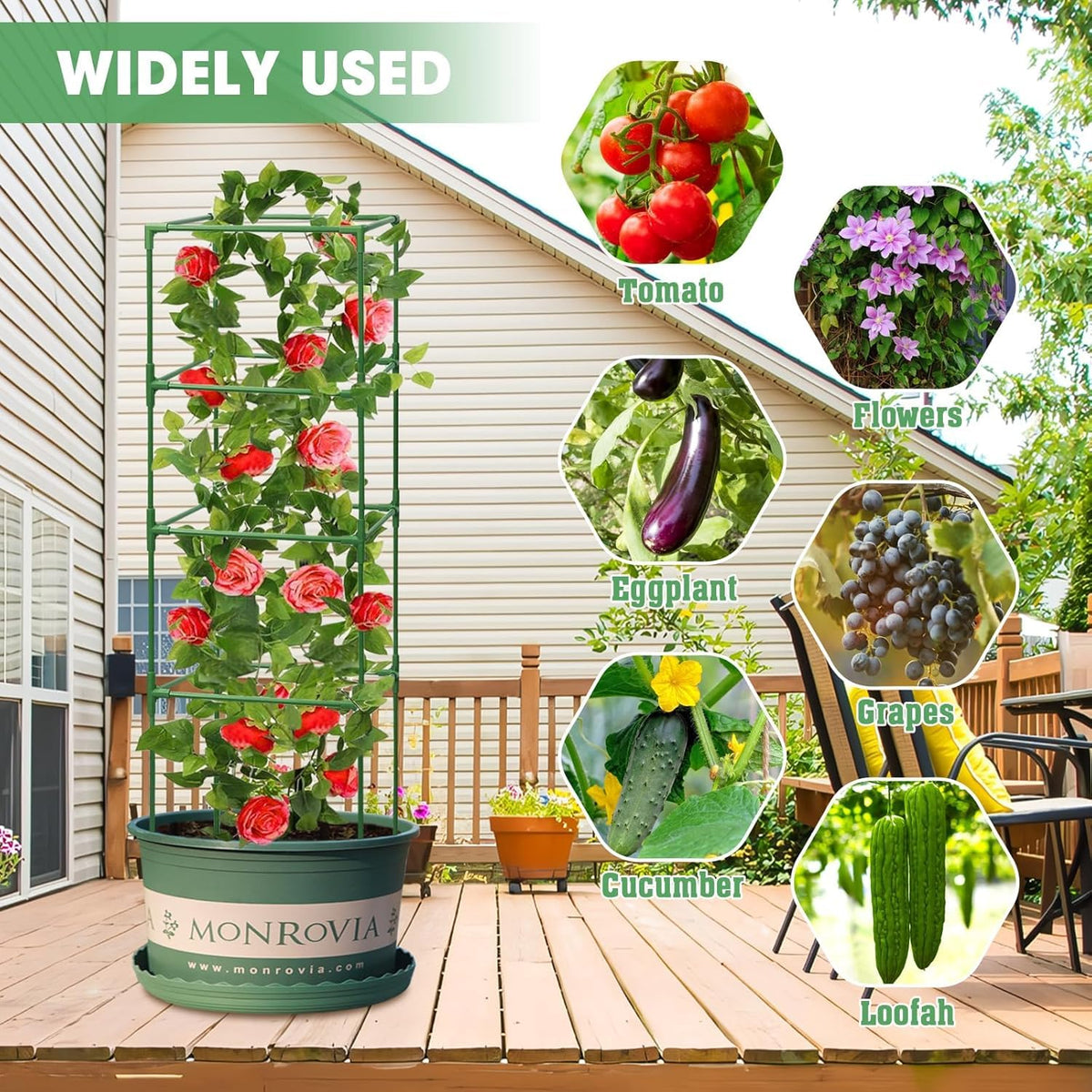 MQUPIN square cage elevates climbing flowers with ample air circulation and sunlight exposure.