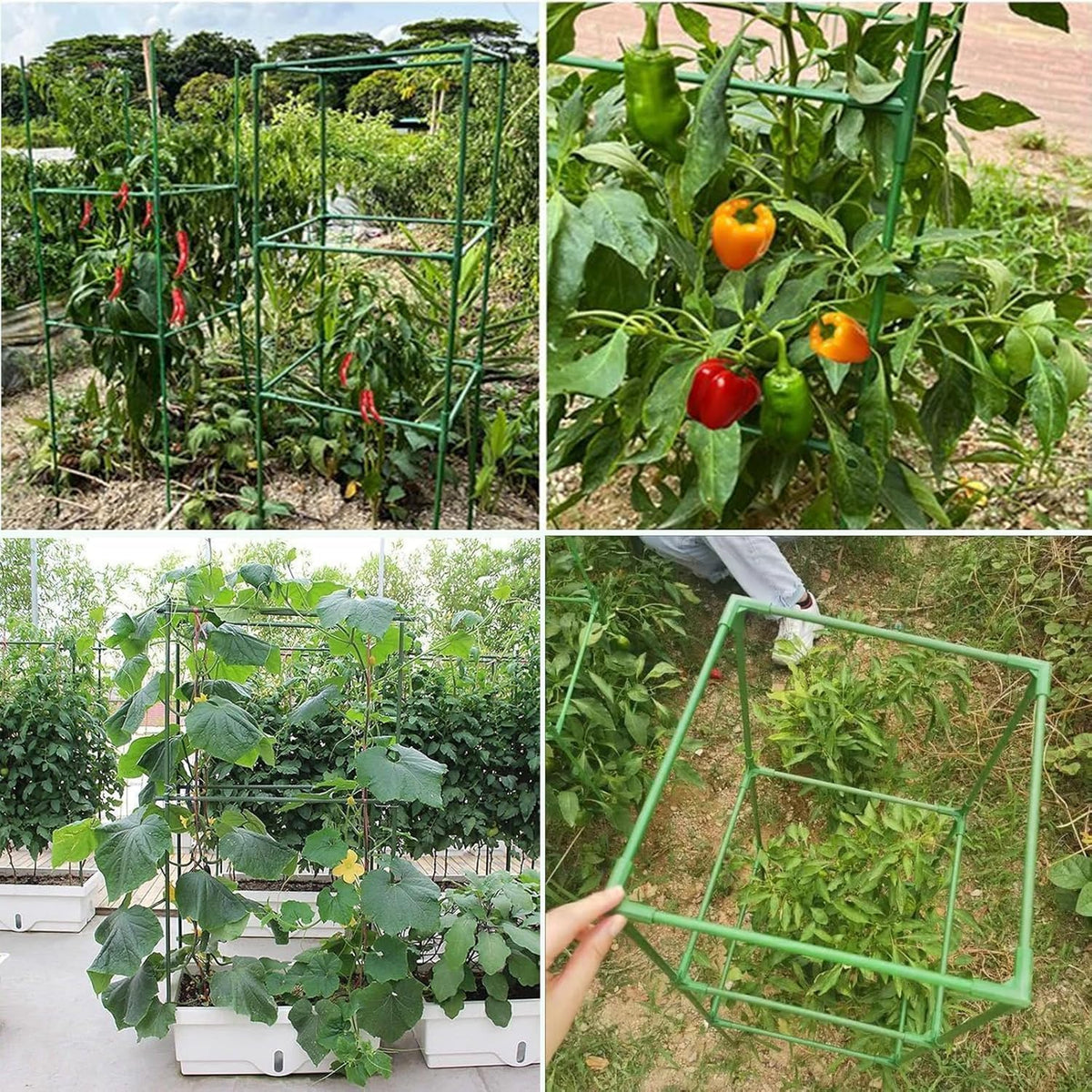 MQUPIN 4-pack provides versatile support for tomatoes, cucumbers, roses, and peppers.
