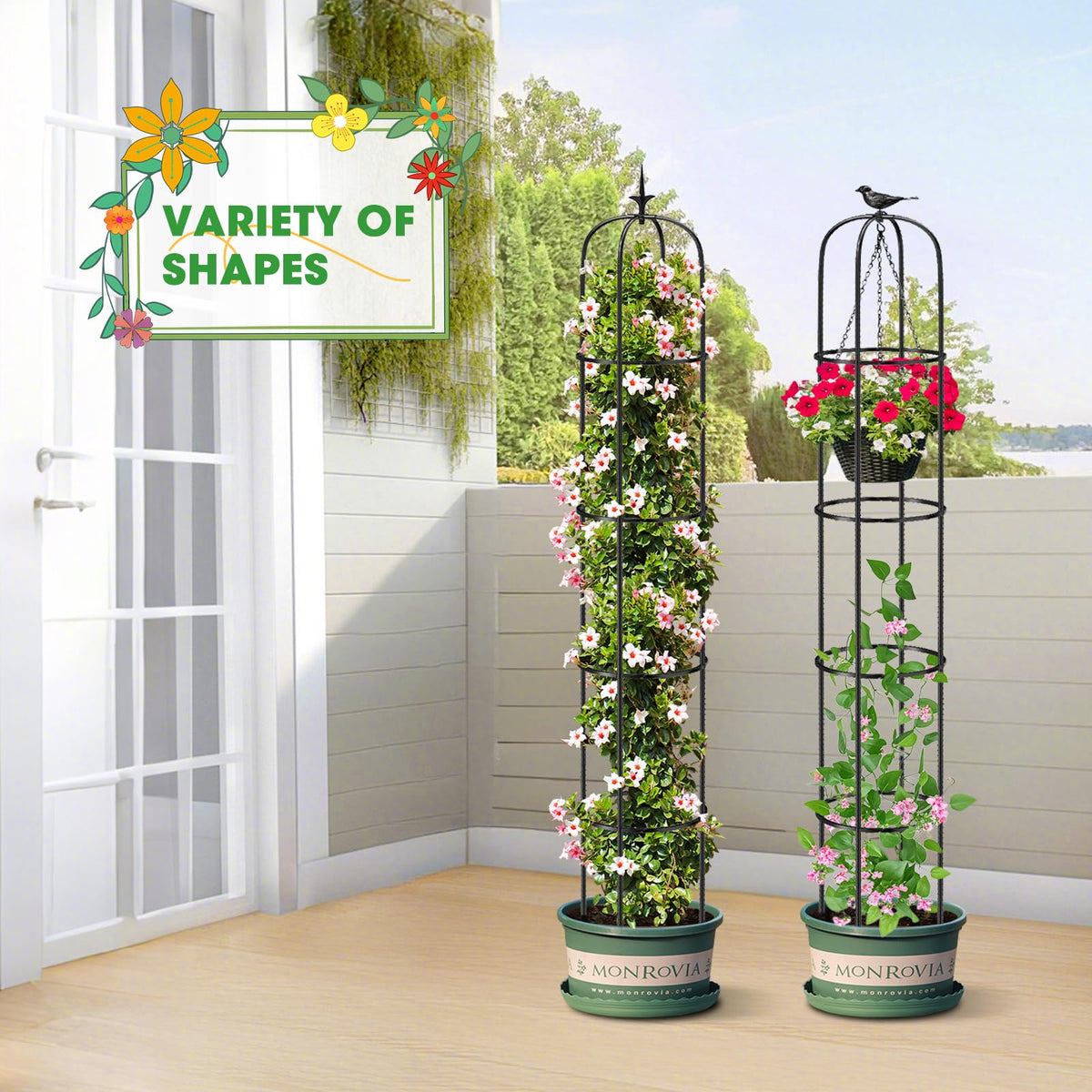 MQUPIN climbing roses and jasmine supported by the obelisk trellis.