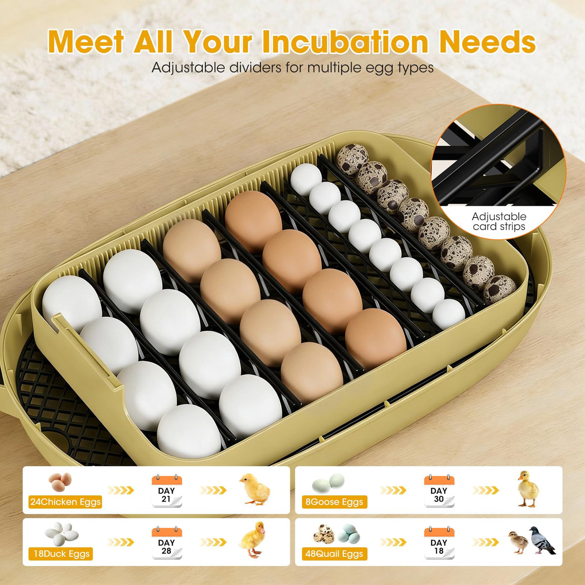 MQUPIN egg candler with 360-degree visibility for quick fertility checks.