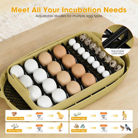MQUPIN egg candler with 360-degree visibility for quick fertility checks.