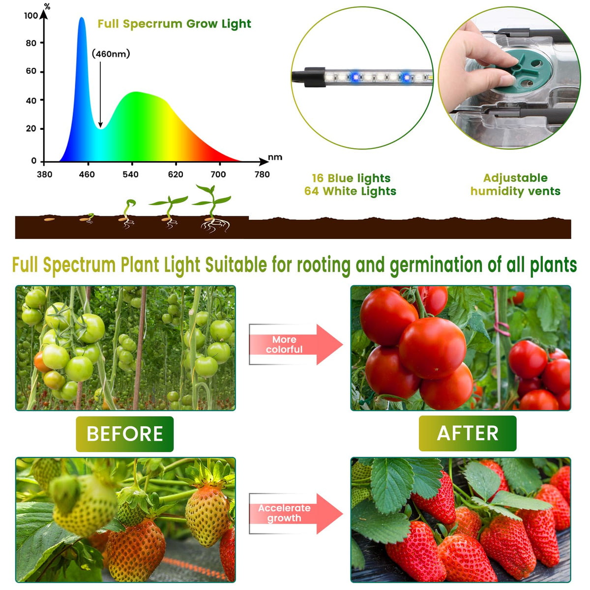 MQUPIN full-spectrum grow lights supporting healthy seedling growth.