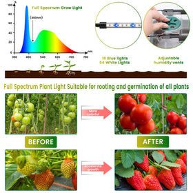 MQUPIN full-spectrum grow lights supporting healthy seedling growth.