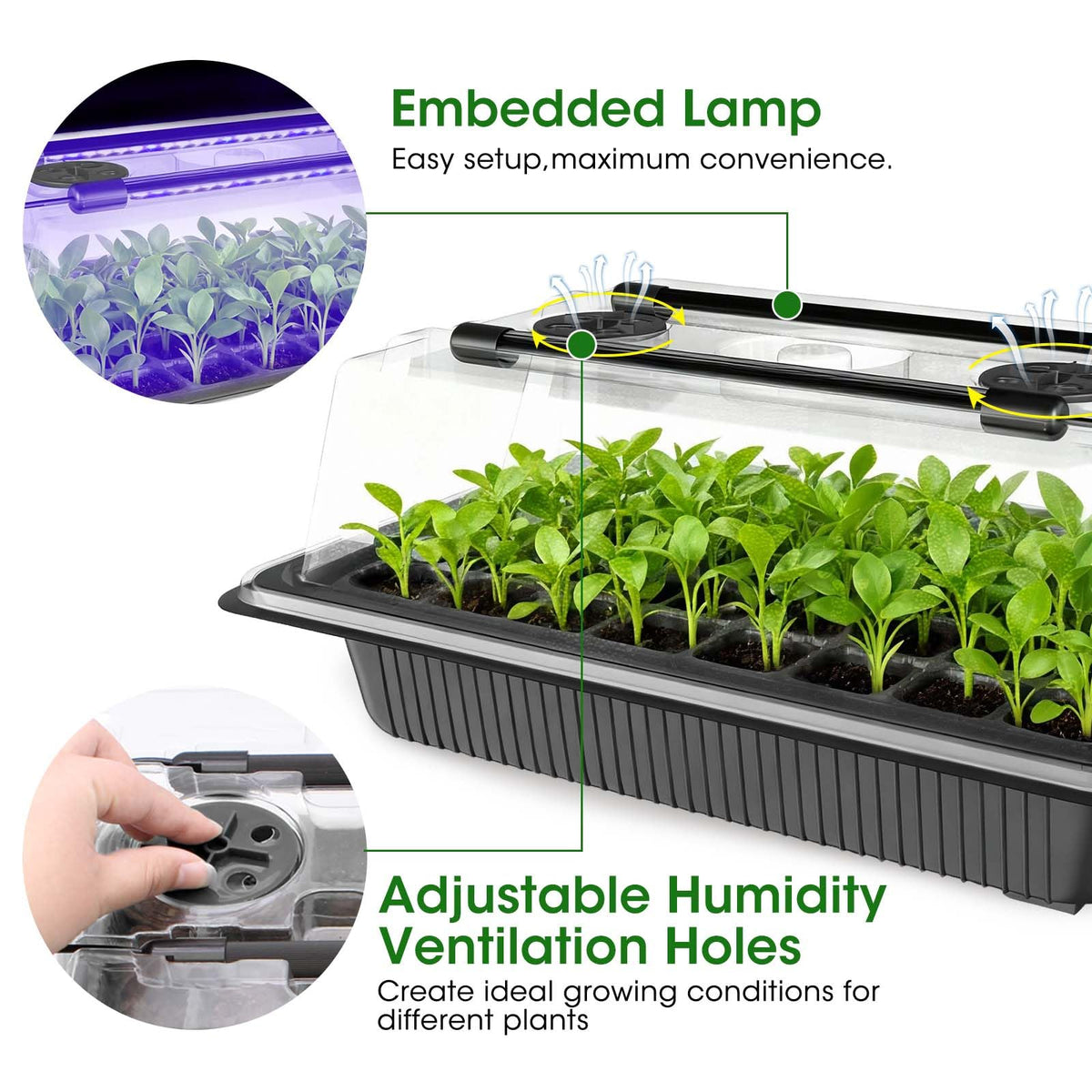 MQUPIN humidity dome with adjustable vents for balanced moisture.