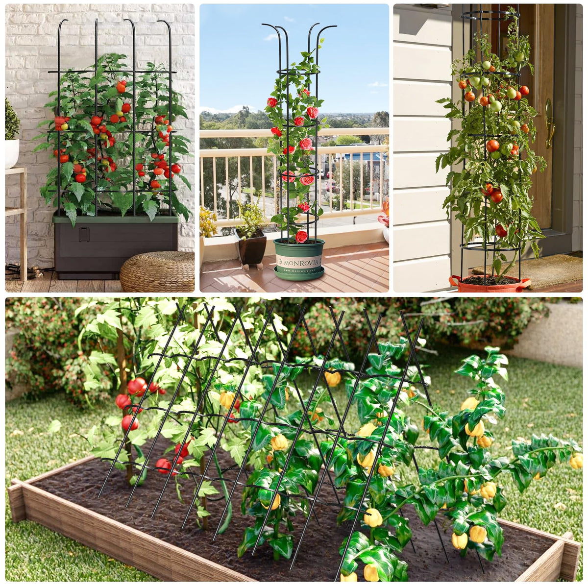 MQUPIN multi-purpose trellis doubles as decorative focal point in yard.