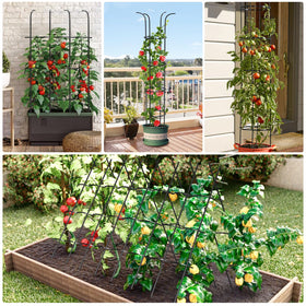 MQUPIN multi-purpose trellis doubles as decorative focal point in yard.