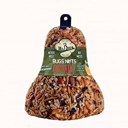 Mr. Bird seed bell hanging in a backyard setup ready to feed.