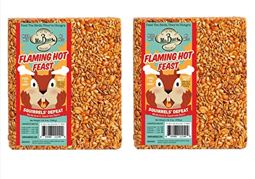 Mr. Bird Flaming Hot Feast large block on a feeder attracts many birds while reducing waste.