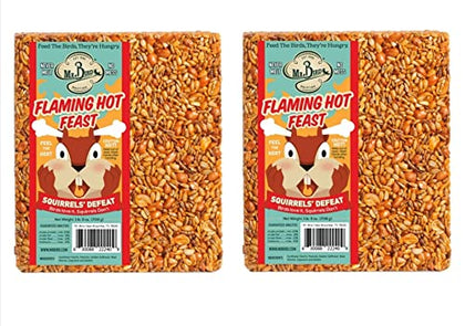 Mr. Bird Flaming Hot Feast large block on a feeder attracts many birds while reducing waste.