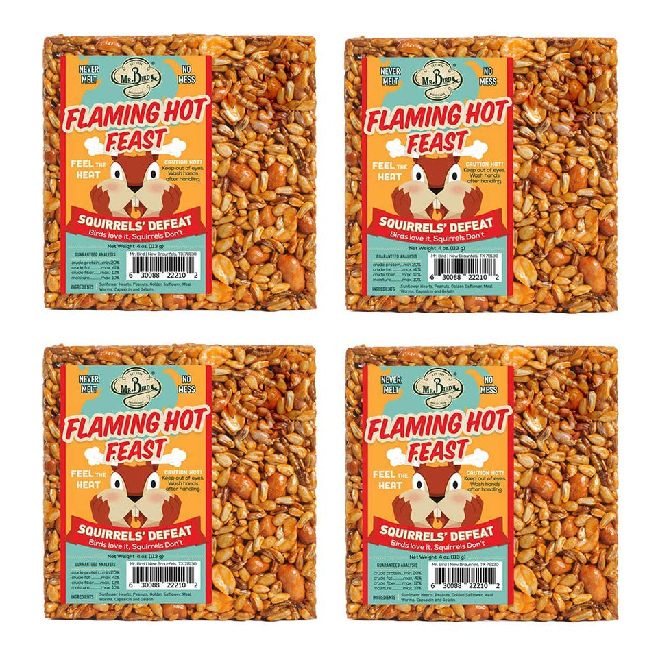 Mr. Bird Flaming Hot Feast seed cake—attracts more birds and suits year-round feeding