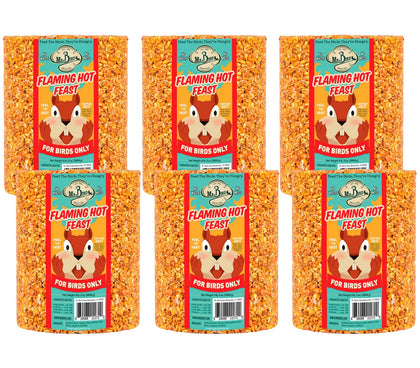 Mr. Bird Flaming Hot Feast seed cylinder image; attracts a wide variety of backyard birds year-round