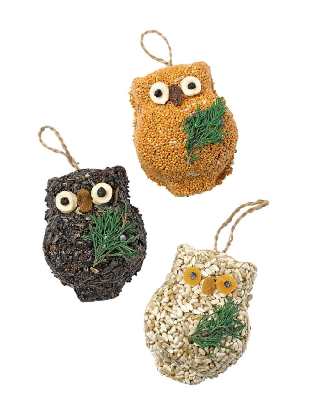 Mr. Bird Ollie Owl seed cakes trio in tray stay intact in sun inviting diverse birds.