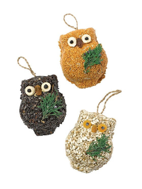 Mr. Bird Ollie Owl seed cakes trio in tray stay intact in sun inviting diverse birds.