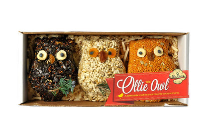 Mr. Bird Ollie Owl seed ornaments with hanger attract garden birds.