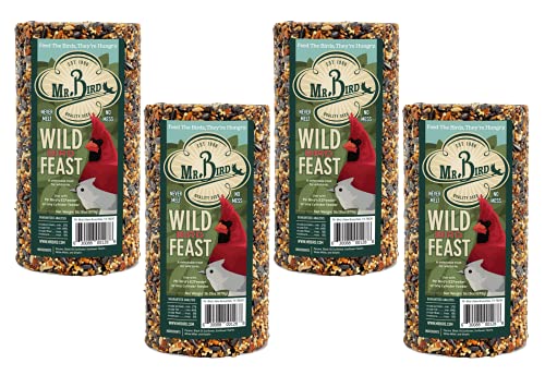 Mr. Bird Wild Bird Feast Cylinder hanging view for year-round, mess-free feeding