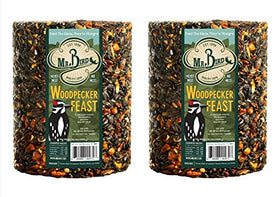 Mr. Bird Woodpecker Feast cylinder at feeder attracts woodpeckers with protein-rich mix