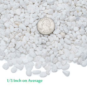 Mr. Fireglass white pebbles arranged in a vase for modern arrangements.