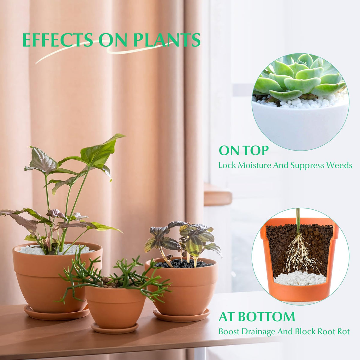 Mr. Fireglass tiny bean pebbles brighten succulents with a matte finish.