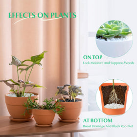 Mr. Fireglass tiny bean pebbles brighten succulents with a matte finish.