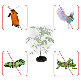 MR FIVE large 55 by 40 inch mesh protects tomatoes and fruit