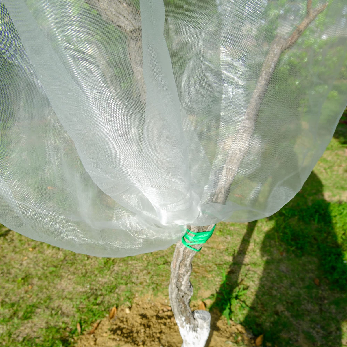 MR FIVE sunlight-through mesh allows photosynthesis while protecting plants