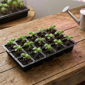 Mr. Pen indoor gardening kit supports germination in home greenhouses