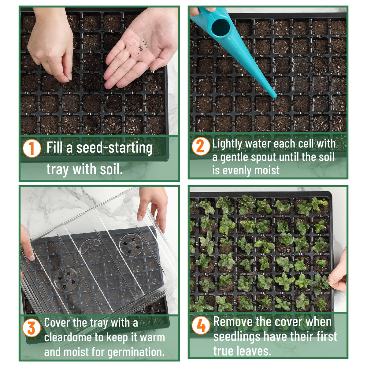 Mr. Pen reusable durable plastic seed trays stand up to repeated use